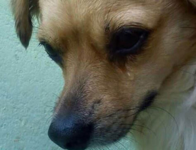 19 dramas que todas as garotas de vinte e poucos vão entender