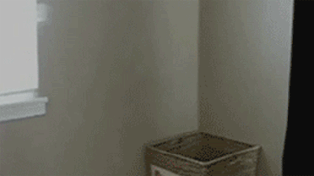 Reprodução/Giphy Reprodução/Giphy