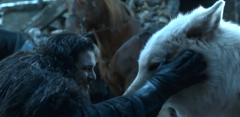 Jon Snow finalmente se redimiu com o Fantasma no último episódio da 8ª temporada de Game of Thrones Jon Snow finalmente se redimiu com o Fantasma no último episódio da 8ª temporada de Game of Thrones