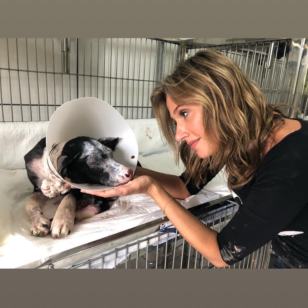 Ação de Luisa Mell faz rede de pet shops parar de vender cães e gatos