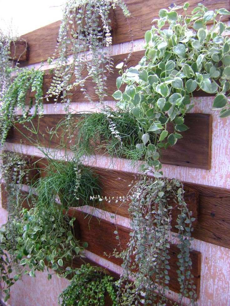 jardim vertical mc3 mc3