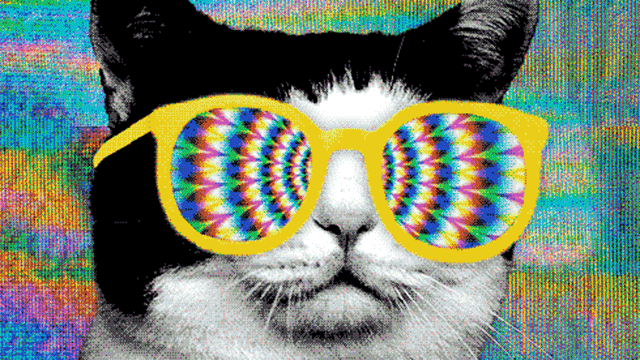 Reprodução/Giphy Reprodução/Giphy