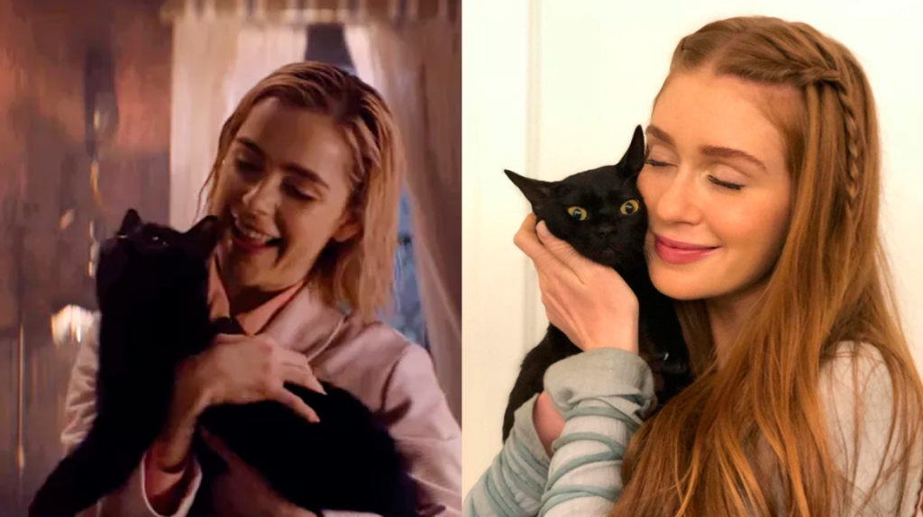 ‘O Sétimo Guardião’ mal estreou e a internet já pirou nas comparações