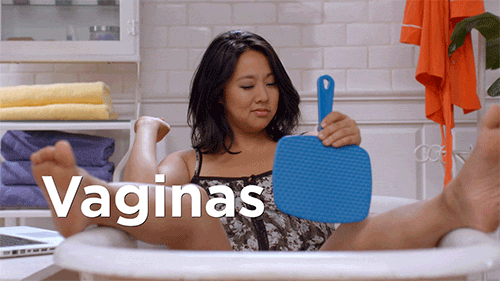 Reprodução/Giphy Reprodução/Giphy