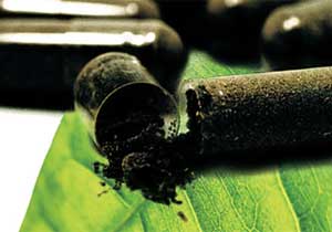 Pílula antibarriga: conheça a PholiaNegra