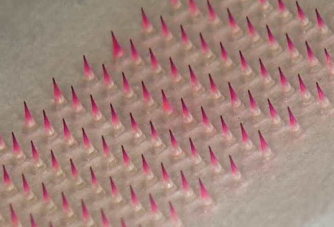 pink_full_array-2