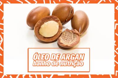 plusbelle_tiposdeoleo51