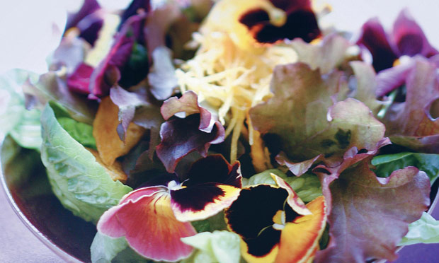 receita-salada-florida-com-vinagre-aromatico-de-lavanda receita-salada-florida-com-vinagre-aromatico-de-lavanda