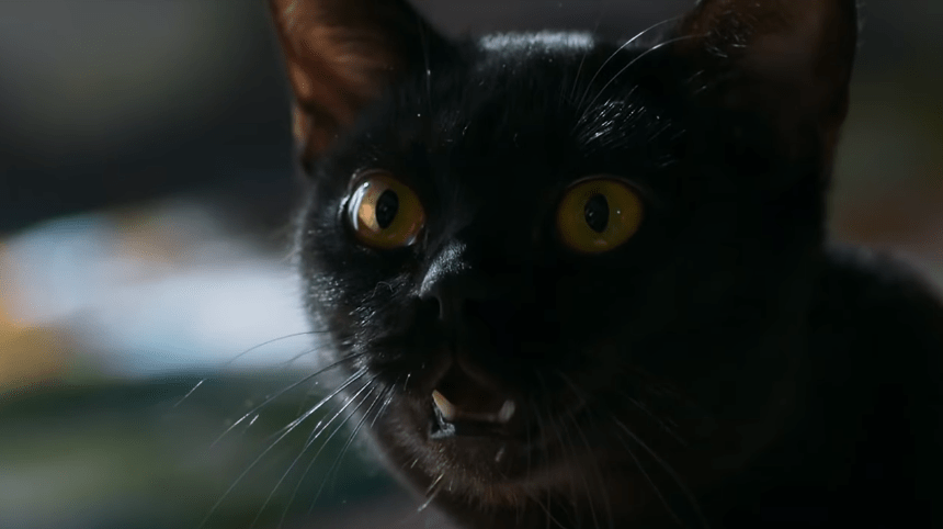 Gato León “vira homem” e salva Gabriel de tiro em ‘O Sétimo Guardião’