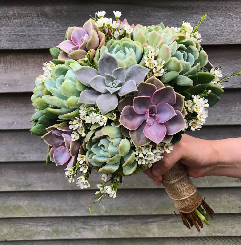 30 buquês de noiva criativos e diferentes skillins-greenhouses-instagram
