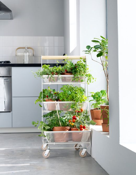 urban-jungle-dicas-para-colocar-verde-em-casa-cozinha-ikea