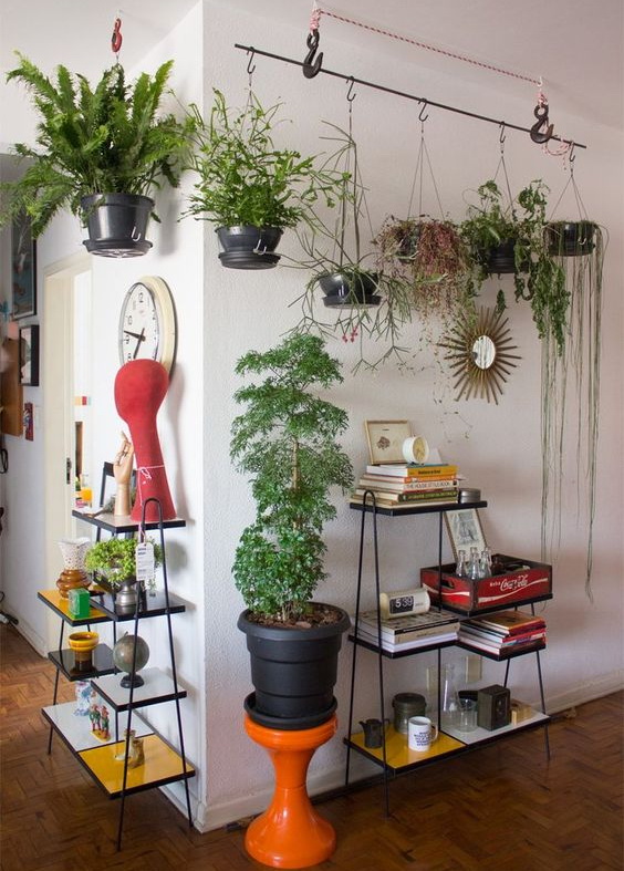 urban-jungle-dicas-para-colocar-verde-em-casa-penduradas-historiasdecasa