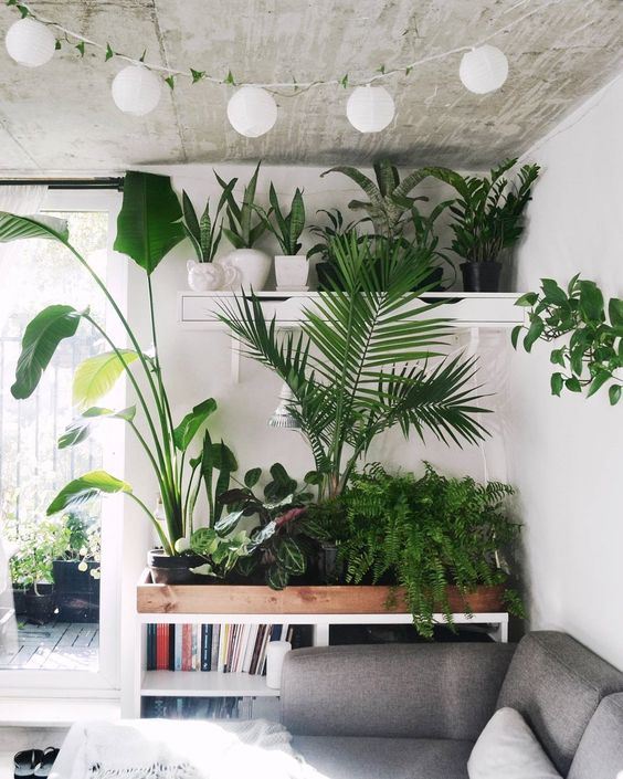 urban-jungle-dicas-para-colocar-verde-em-casa-sala