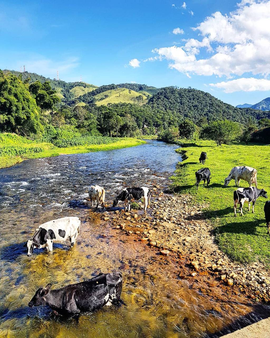 10 destinos brasileiros de montanha para casamento visconde-de-maua-grazielagrs