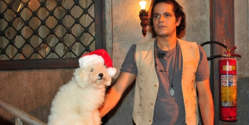 Tudo sobre Zé, o cachorro que está roubando a cena na novela Vidas em Jogo Tudo sobre Zé, o cachorro que está roubando a cena na novela Vidas em Jogo