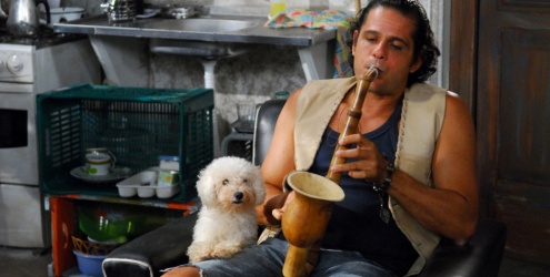 Tudo sobre Zé, o cachorro que está roubando a cena na novela Vidas em Jogo Tudo sobre Zé, o cachorro que está roubando a cena na novela Vidas em Jogo