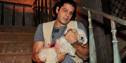 Tudo sobre Zé, o cachorro que está roubando a cena na novela Vidas em Jogo Tudo sobre Zé, o cachorro que está roubando a cena na novela Vidas em Jogo