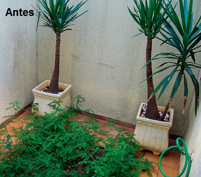 jardim-renovado-em-apenas-3-dias-antes1