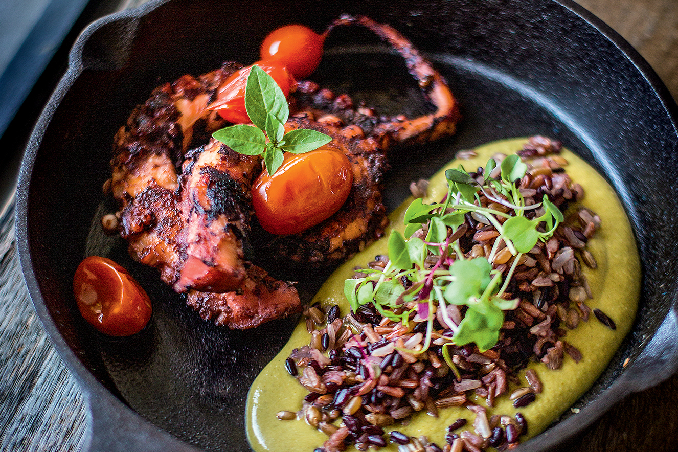 polvo com arroz sete grãos