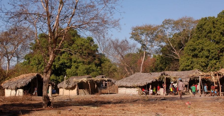 lalunga-910×474 lalunga-910×474