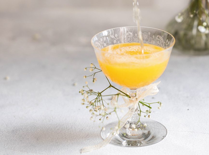 Mimosa Mimosa