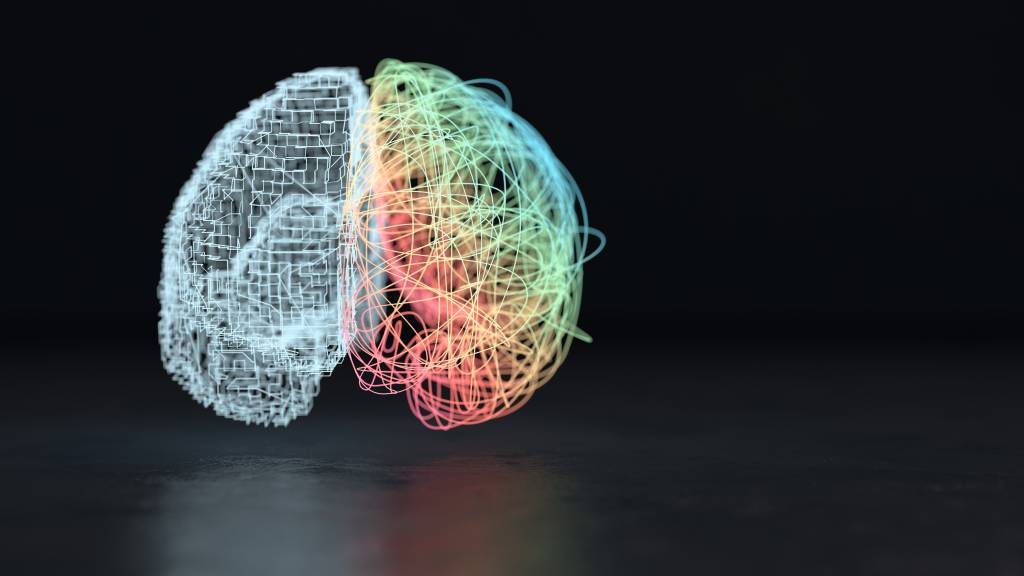 cerebro cerebro