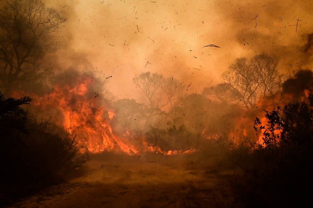fogo consome Pantanal incêndio no Pantanal