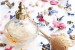 tendencias de perfumes