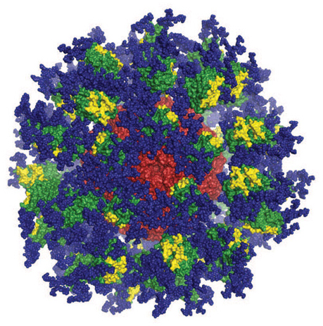HIV hiv