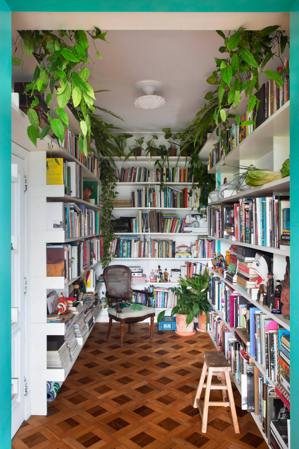 Biblioteca _ Syngoniuns e Filodendros no alto e Lírios da paz no piso Na biblioteca agora se encontram syngoniuns e filodendros no alto e lírios-da-paz no piso