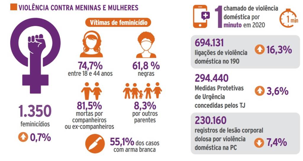 Violência contra meninas e mulheres Anuário de violência
