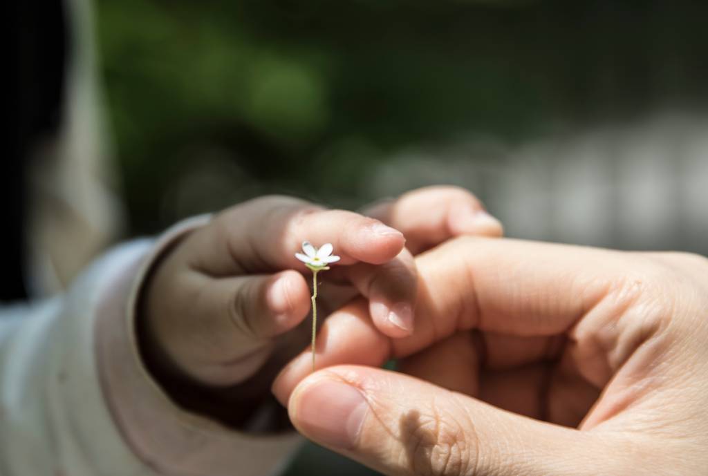 Movimento recupera empatia nas redes socais por meio da memória afetiva