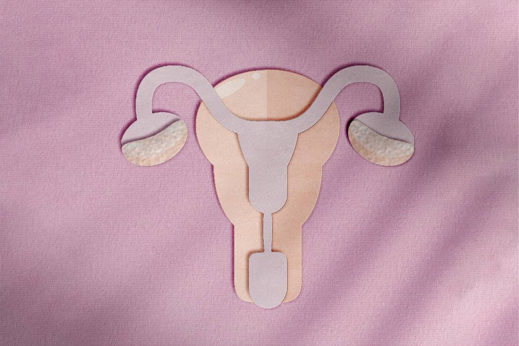 como-usar-TELEMEDICINA-mulheres-3 ovário com recortes