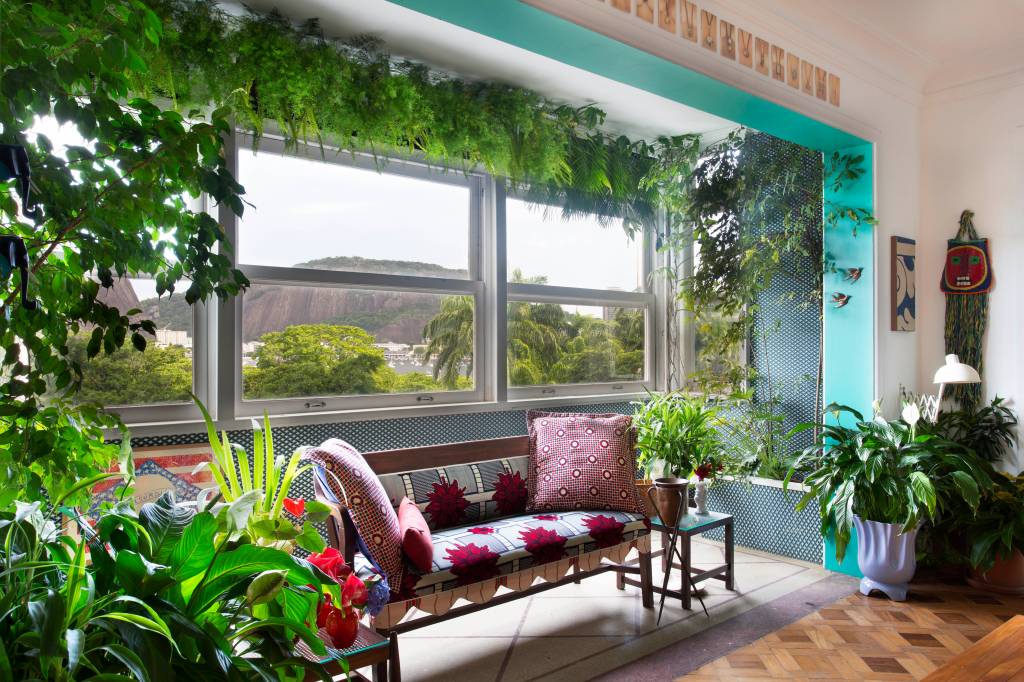 Varanda da sala _ Asparagus, Syngonium, Ficus, Leea e Lírio da paz Sala decorada com muitas plantas