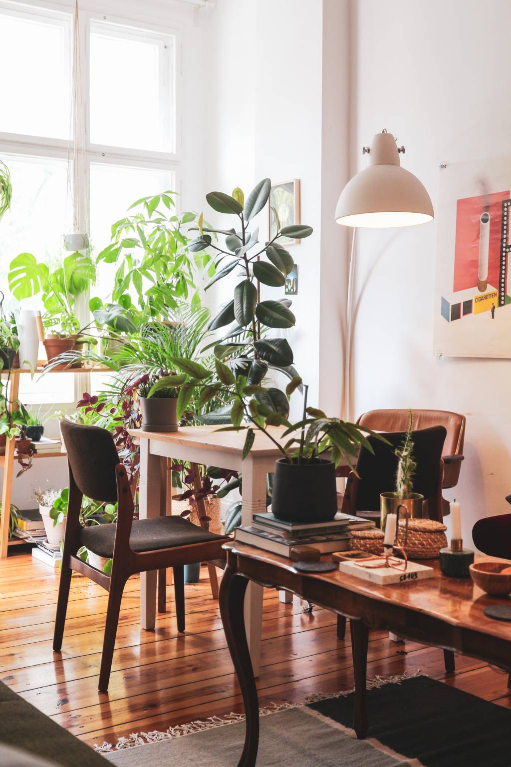 beazy-xALgQ6VC8ps-unsplash Urban jungle em casa