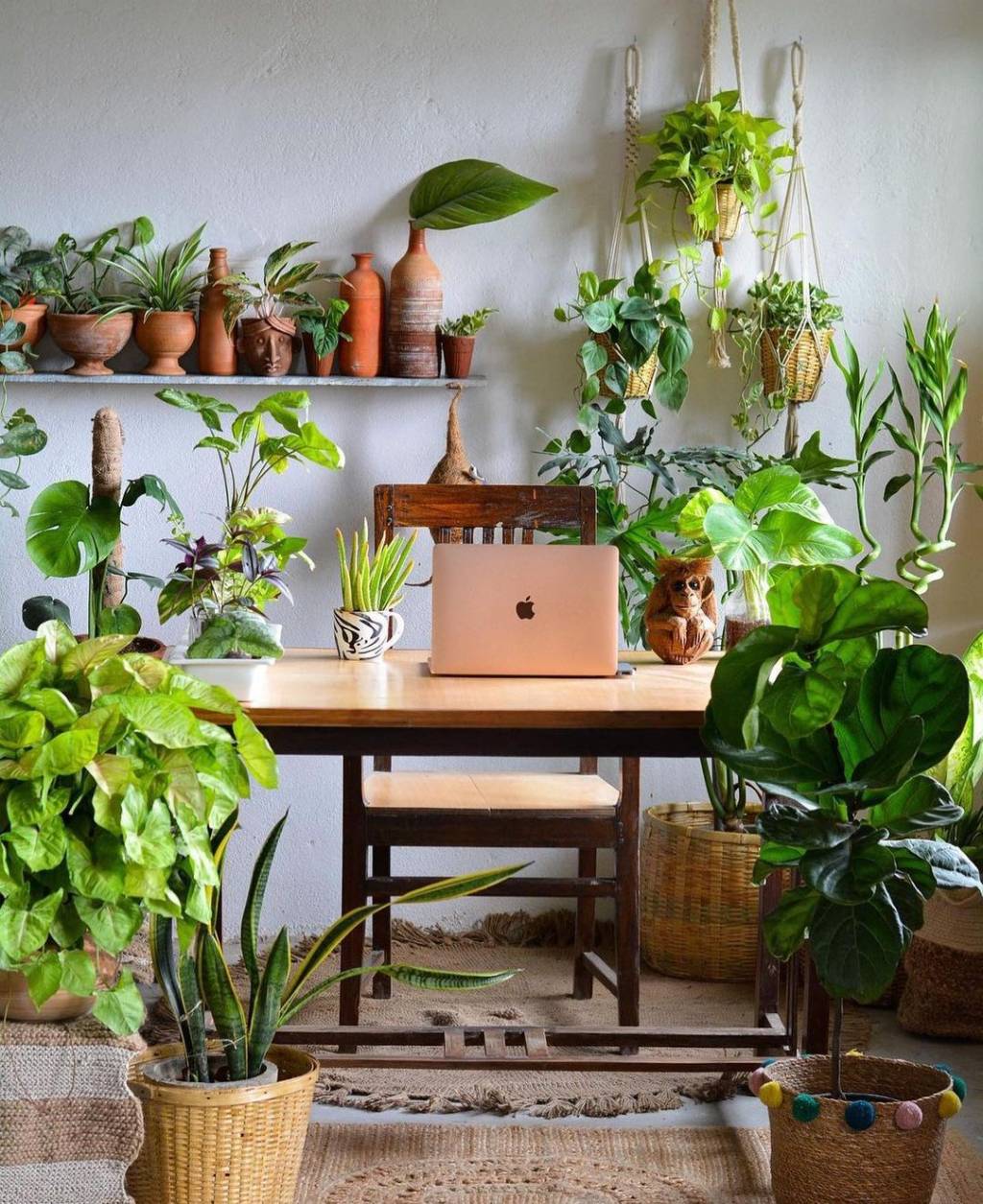 _createyourtaste_ Home office cheio de plantas