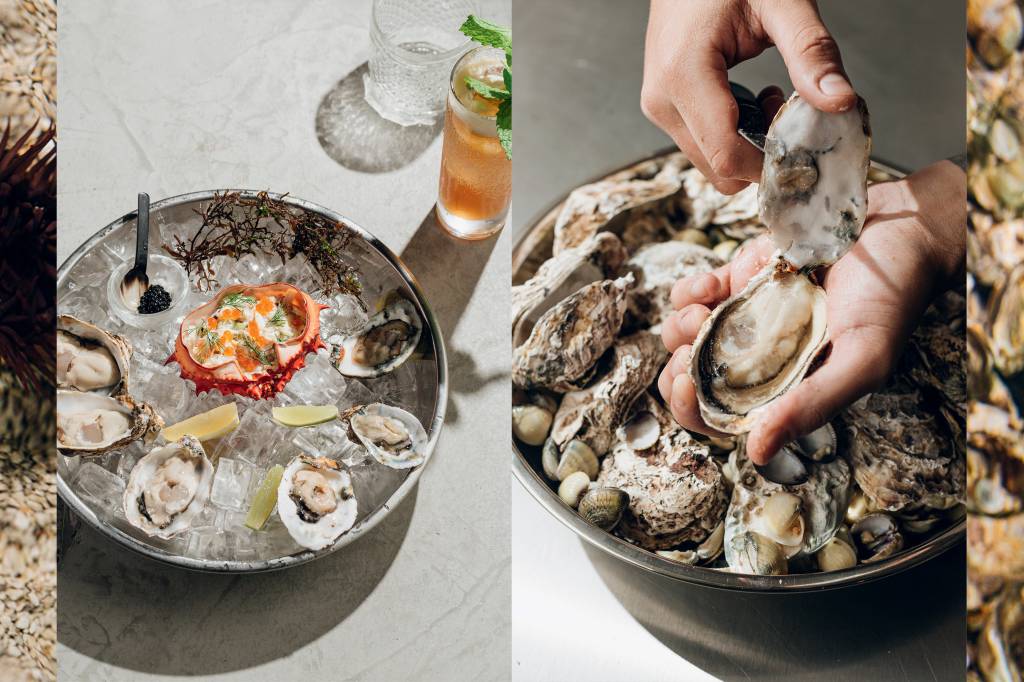 Os bares de ostras estão em alta! Conheça os exóticos sabores desse fruto do mar