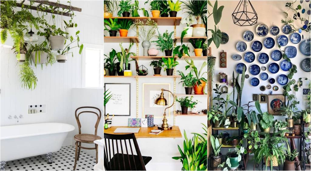 plantas-decoracao-ideias-abre plantas na decoração de casa