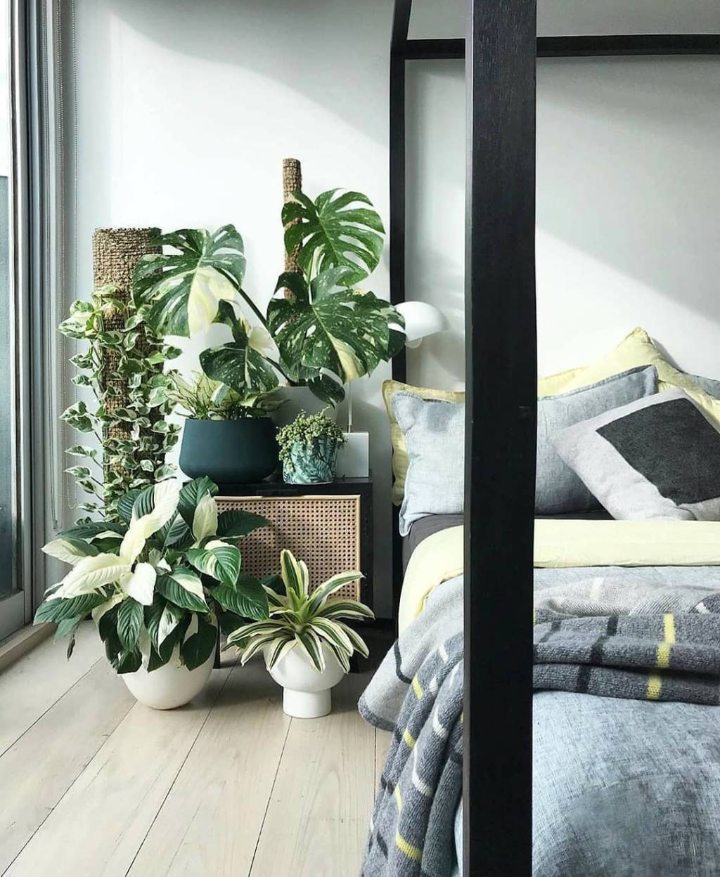 plantas-dentro-de-casa-ideias3 plantas na decoração de casa