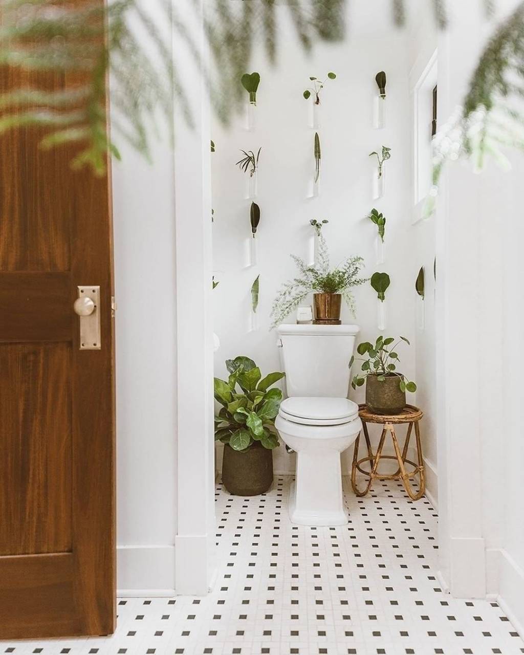 plantas-dentro-de-casa-ideias5 plantas na decoração de casa