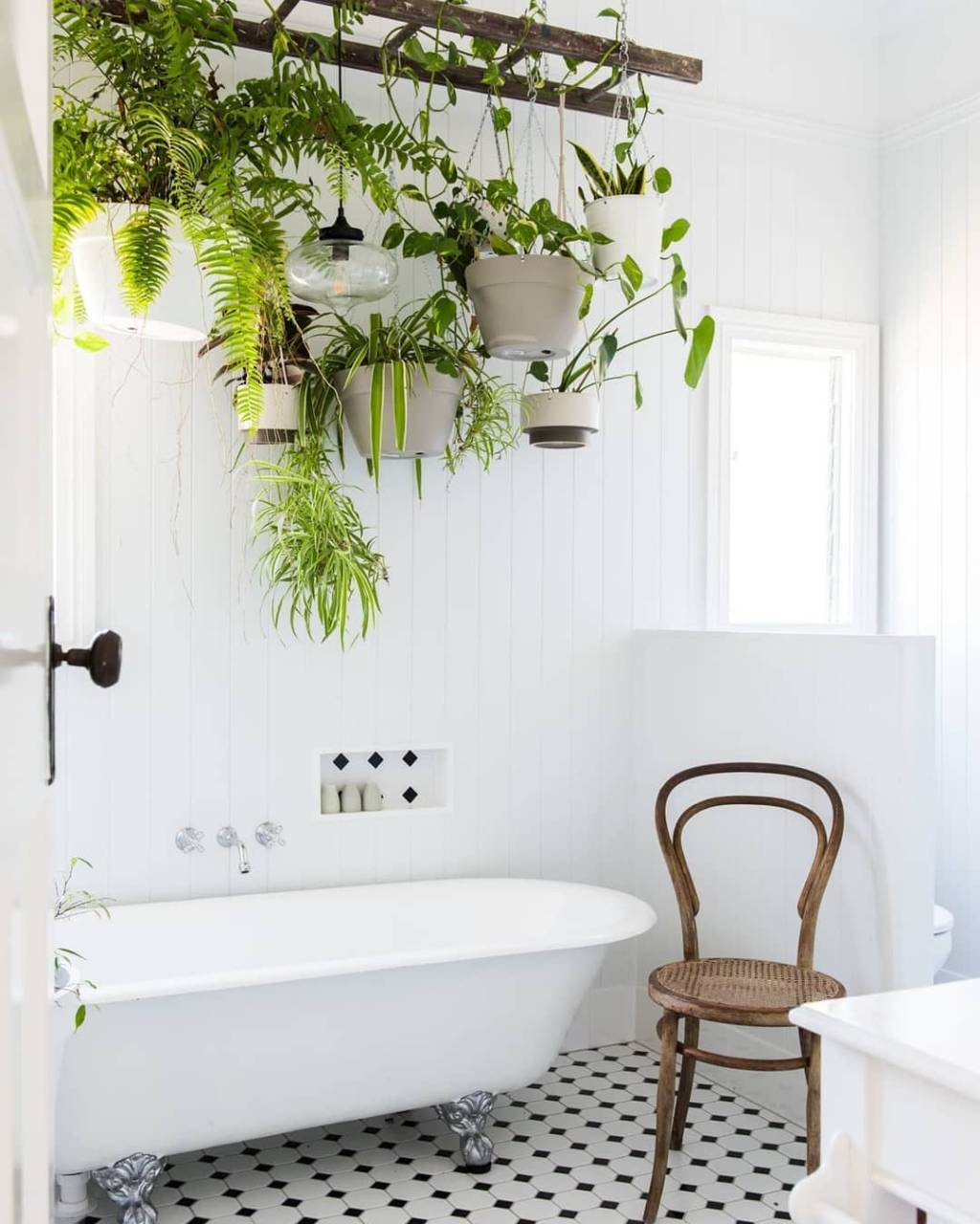 plantas-dentro-de-casa-ideias7 plantas na decoração de casa