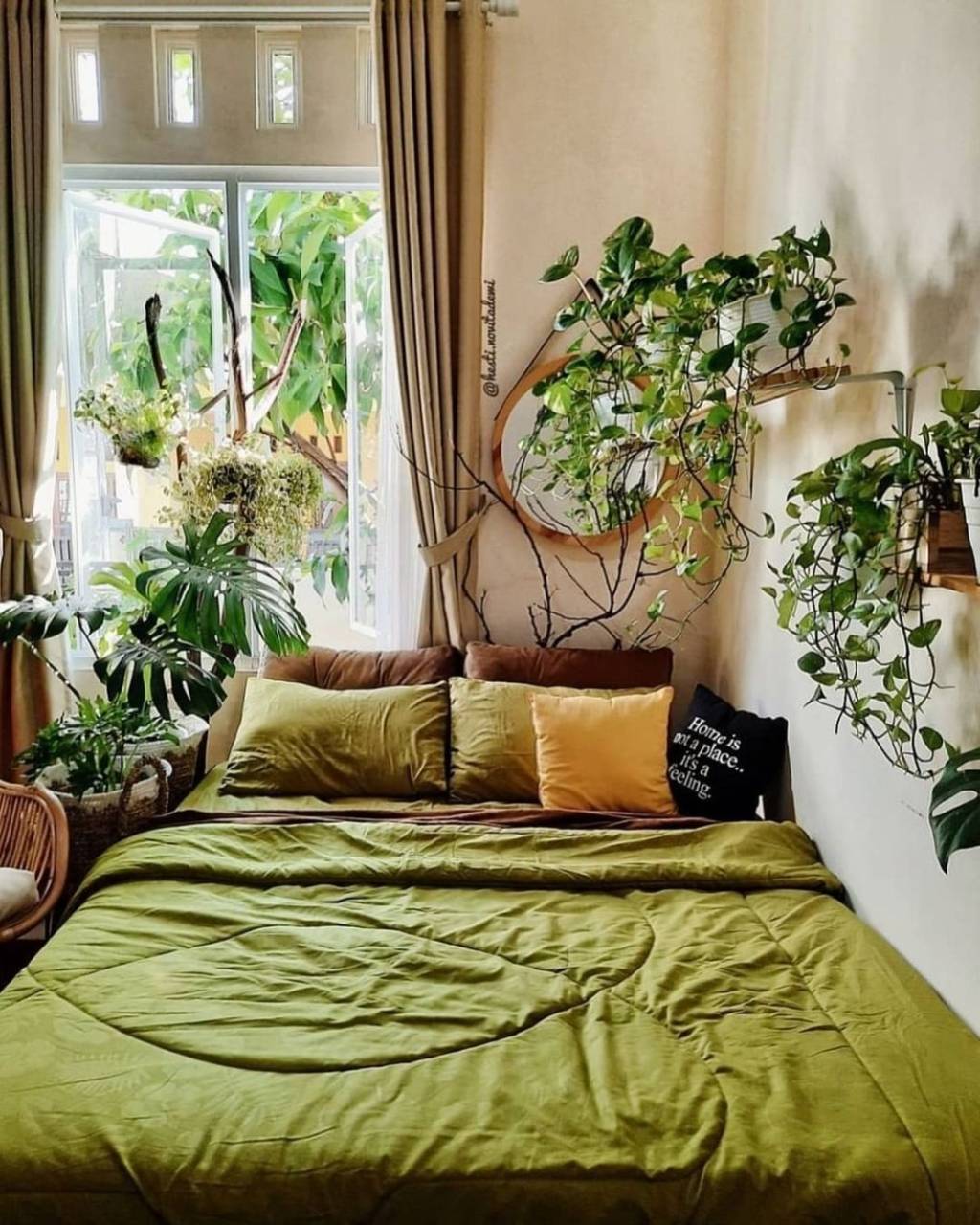plantas-dentro-de-casa-ideias8 plantas na decoração de casa