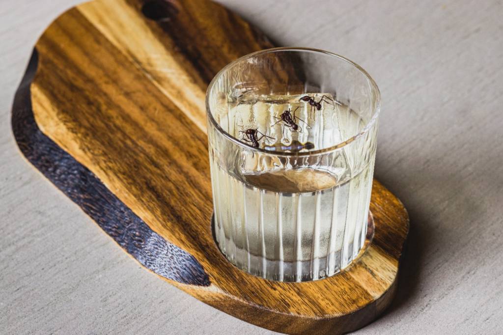 Aprenda duas receitas de drinks para viajar sem sair de casa