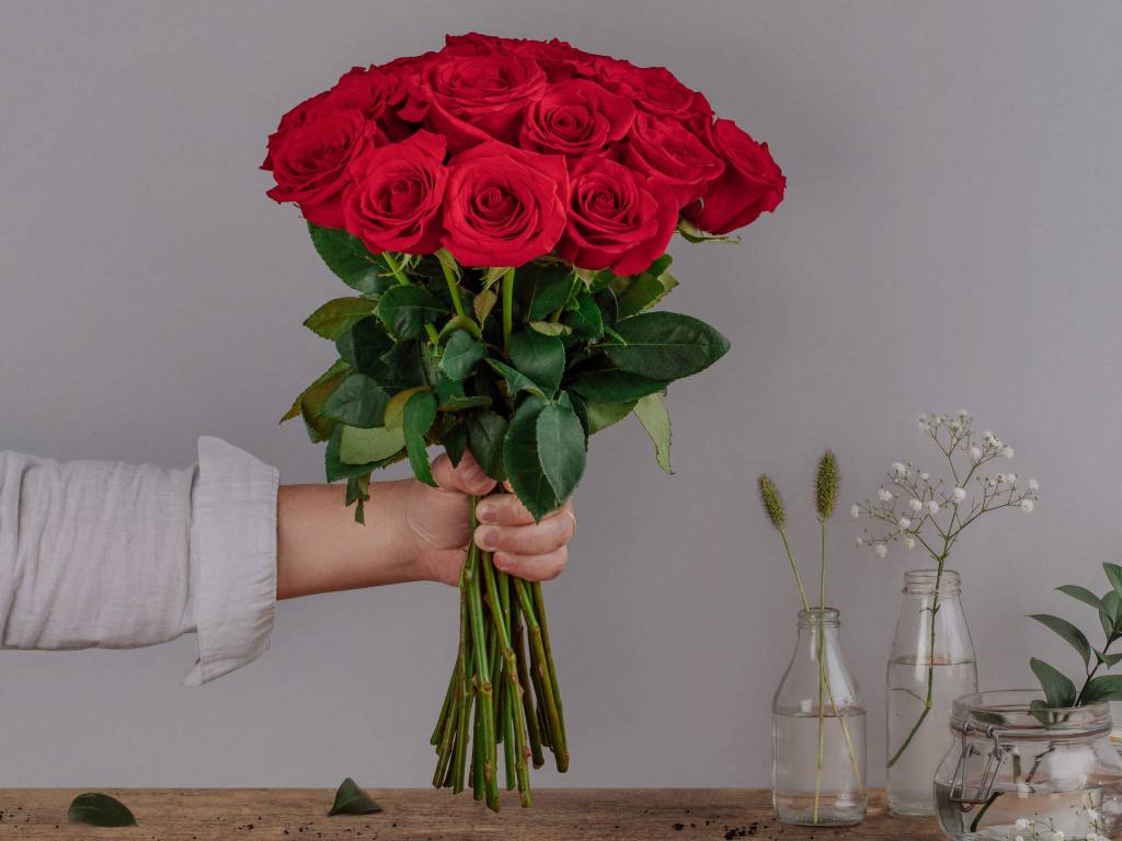 rosas_flores online rosas