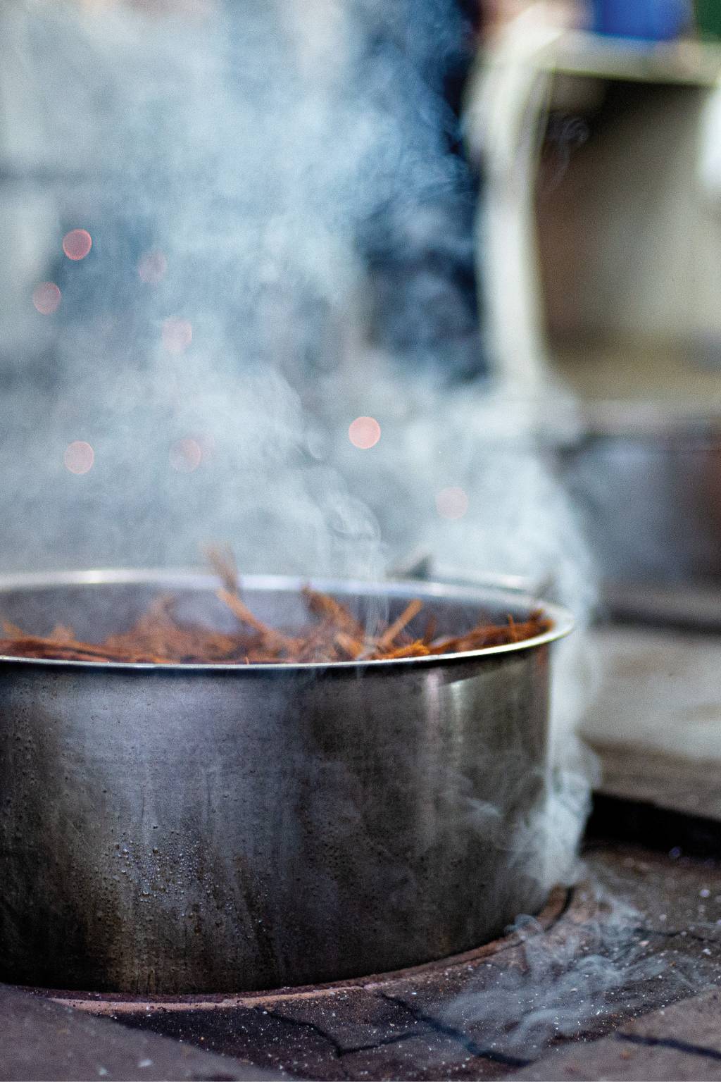 Ayahuasca autoconhecimento
