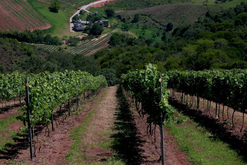 A vinícola Villa Santa Maria fica em São Bento do Sapucaí (SP)