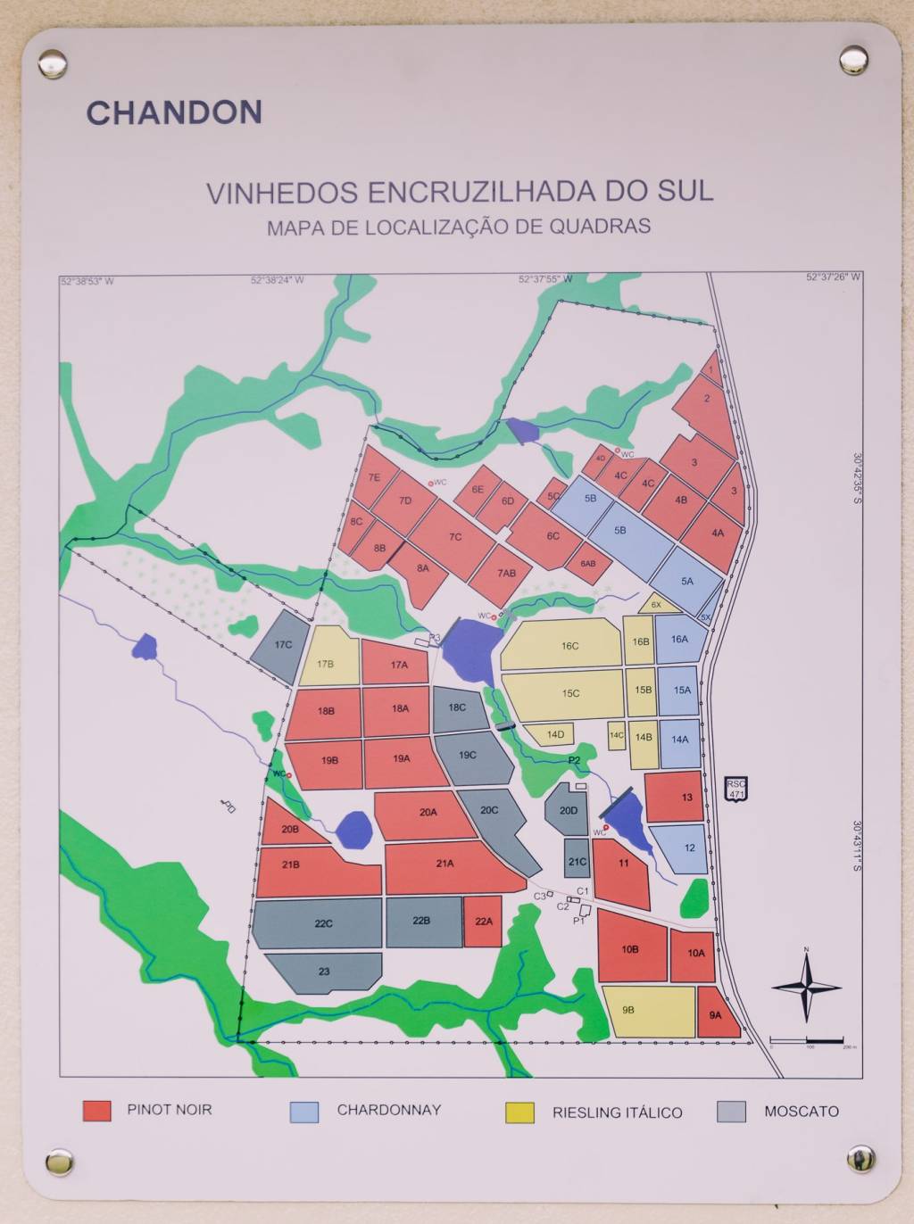Pinot Noir, Chardonnay, Riesling Itálico e Moscato são as uvas cultivas na vinícola da Chandon, em Encruzilhada do Sul Pinot Noir, Chardonnay, Riesling Itálico e Moscato são as uvas cultivas na vinícola da Chandon, em Encruzilhada do Sul