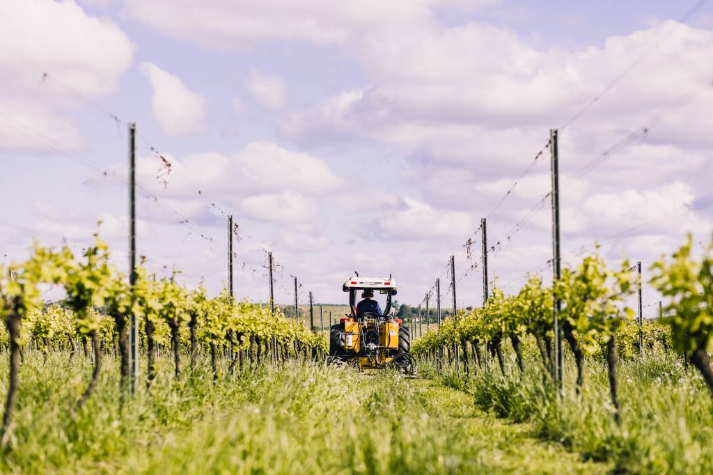 Vinícola da Chandon em Encruzilhada do Sul Vinícola da Chandon em Encruzilhada do Sul