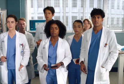 Elenco da 19ª temporada de Grey's Anatomy.