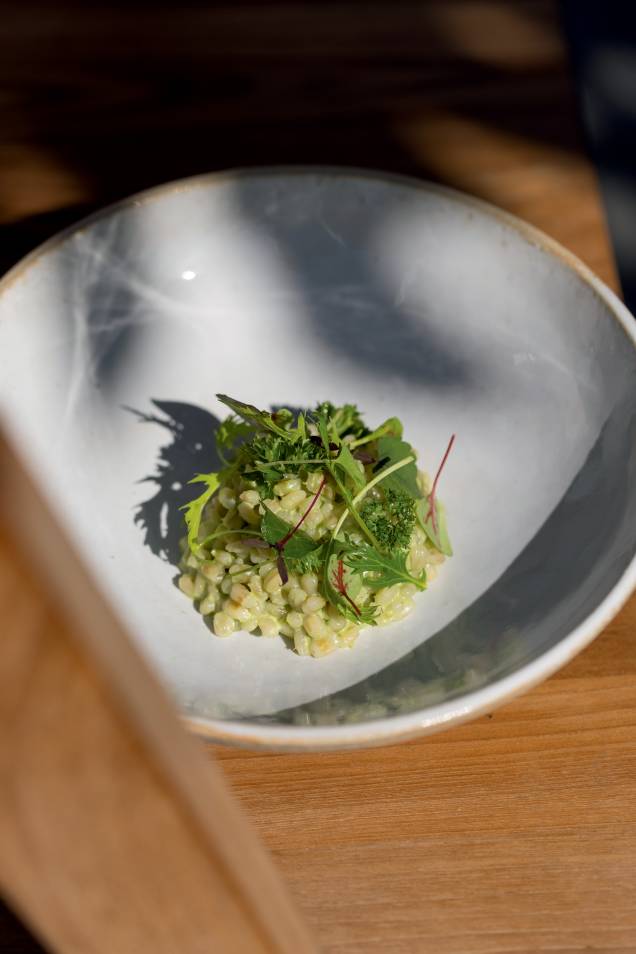 Risoto de trigo e urtiga, uma das delícias do restaurante Nosso, em Paris. Risoto de trigo e urtiga, uma das delícias do restaurante Nosso, em Paris.